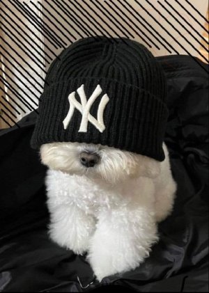 littledoc