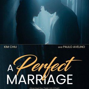 A Perfect Marriage ()