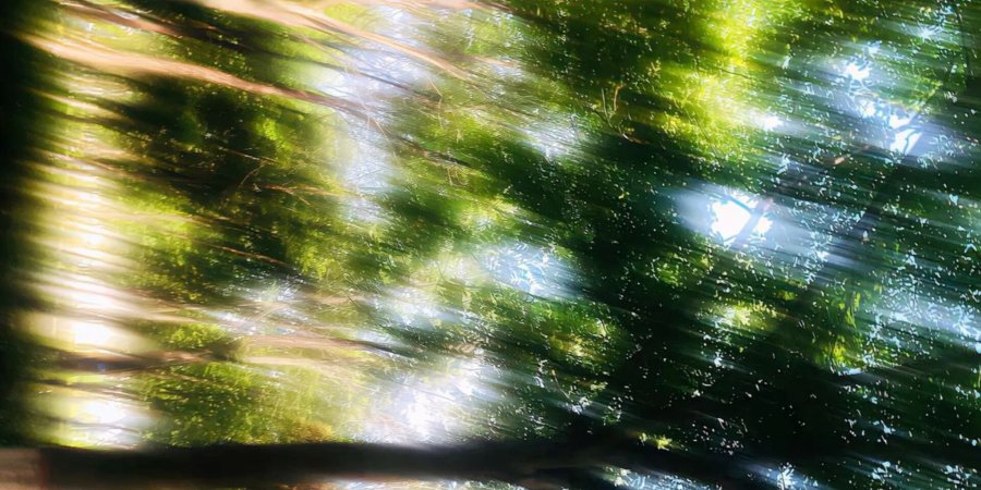 InShot_20260519_141901993.jpg InShot_20260519_141901993.jpg
