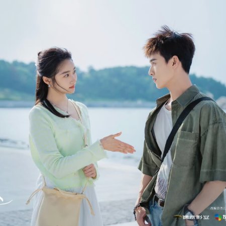 Dazzling (2026)