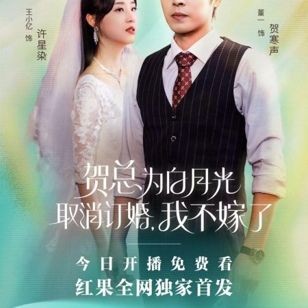 He Zong Wei Bai Yue Guang Qu Xiao Ding Hun, Wo Bu Jia Le (2024)