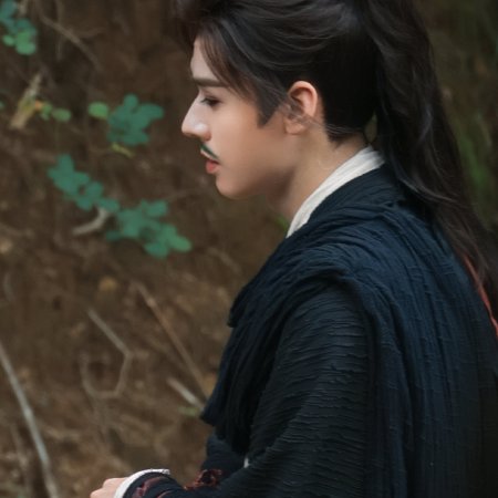 The Legend of Lu Xiaofeng ()