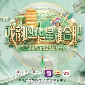 Zong Tai Shou Jie Xi Qu Zhi Yin Da Hui ()
