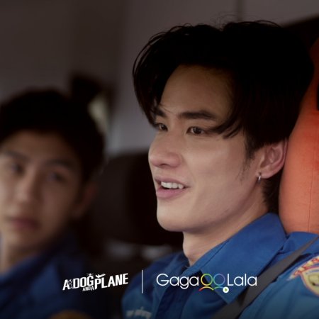 A Dog and a Plane (2026)