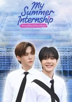 My Summer Internship