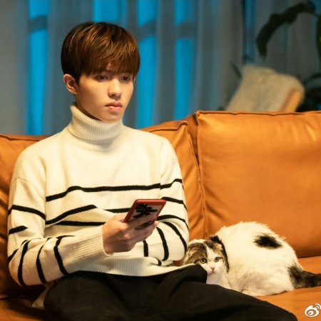 My Catmate (2020)