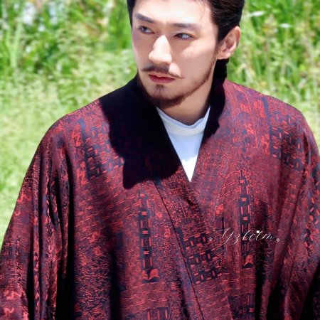 Northern Wei Dynasty ()