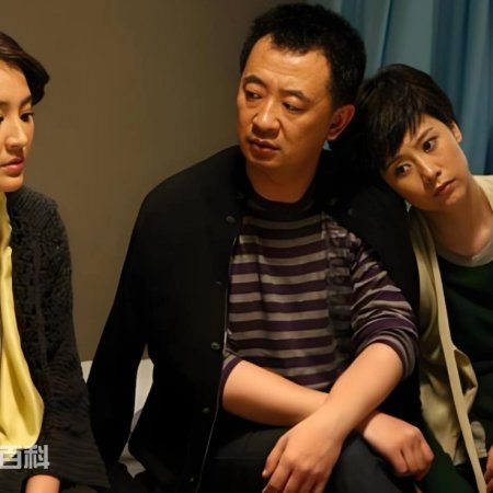 A Beautiful Daughter in Law Era (2010)