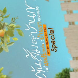 When Oranges Fall Special (2026)
