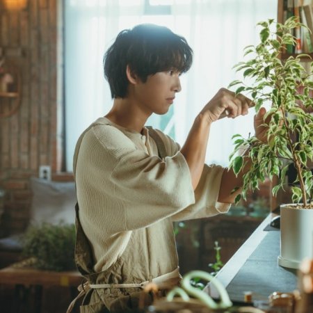 My Youth (2025)