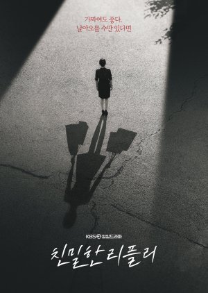 A Graceful Liar (2025) poster
