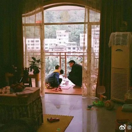 Yang Zi's Confusion (2023)