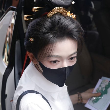 Jiang Shan Wei Pin ()