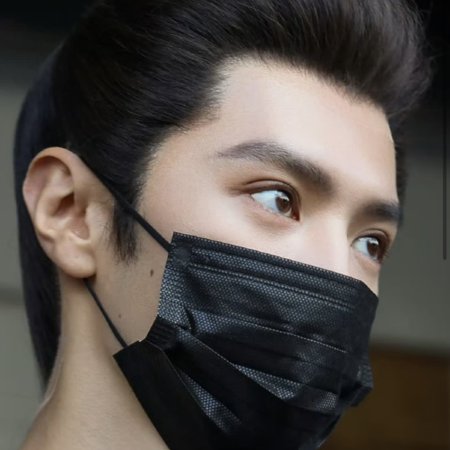 Jiang Shan Wei Pin ()