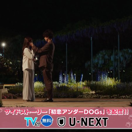 Love Is for the Dogs (2025)