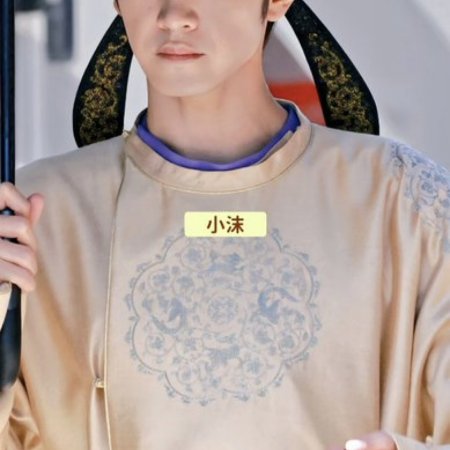 Jiang Shan Wei Pin ()