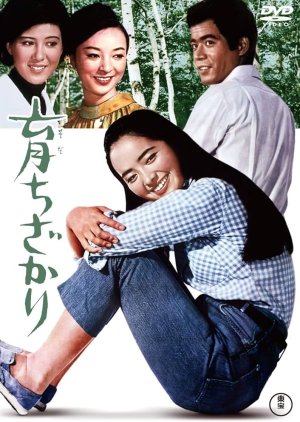Seventeen (1967) poster