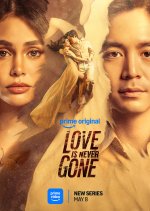 Love Is Never Gone
