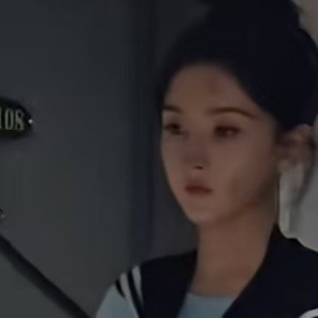 The Palace Stewardess ()