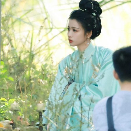 A Ming Dynasty Adventure ()