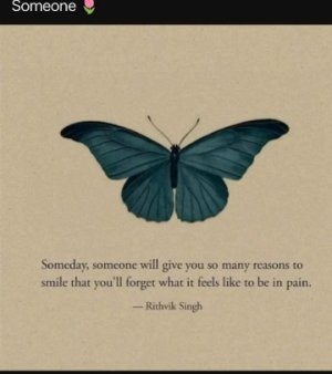 butterflies