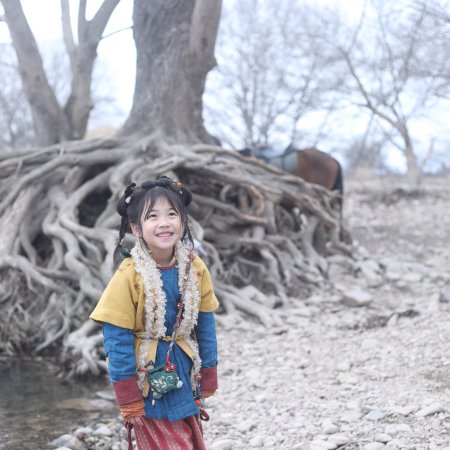 Pursuit of Jade (2026)