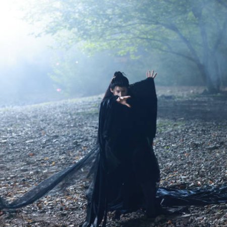 Veil of Shadows (2026)