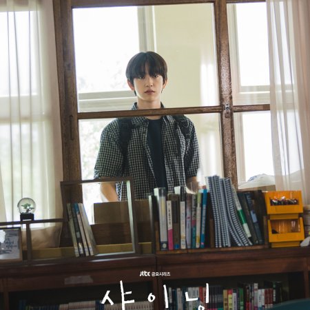 Still Shining (2026)