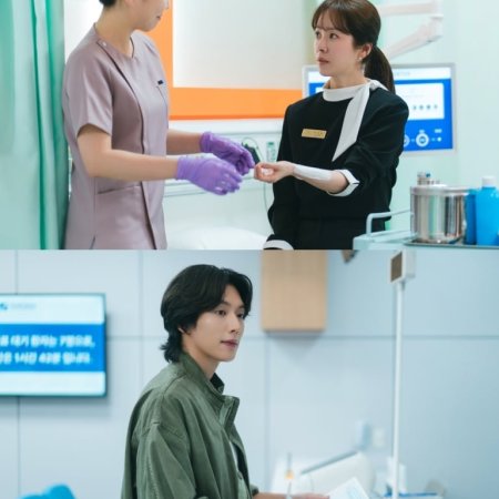 The Practical Guide to Love (2026)