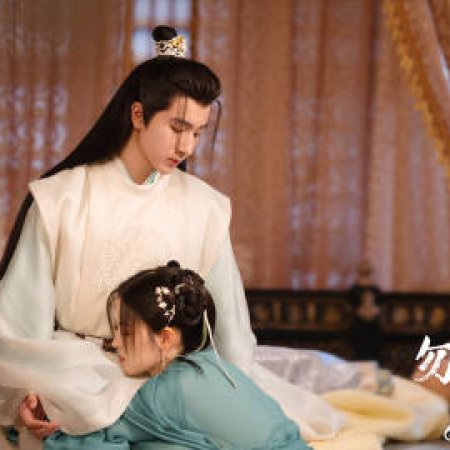 Flying up without Disturb (2025)