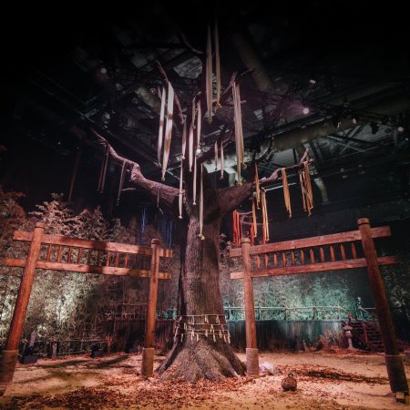 Physical: Asia (2025)