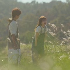 My Youth Korean Drama(2025) photo