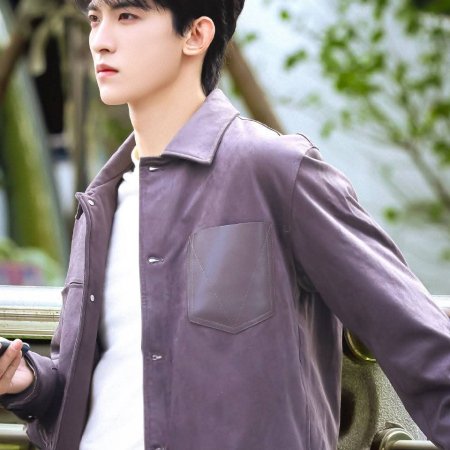 The Vanishing Beauty ()