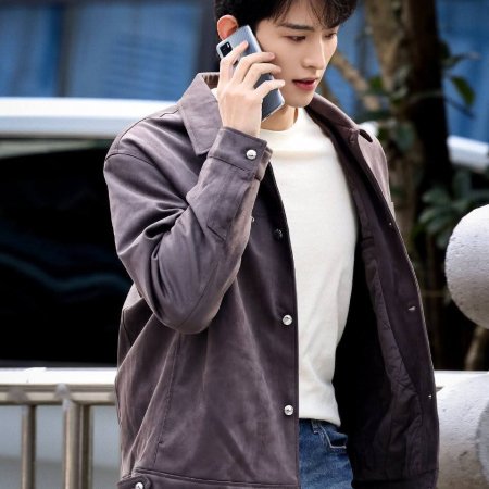 The Vanishing Beauty ()