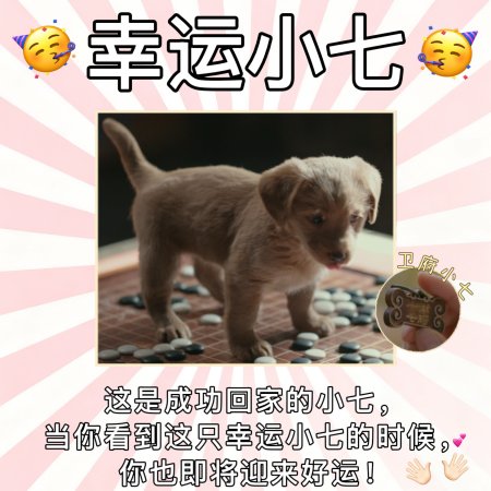 Fight for Love (2025)