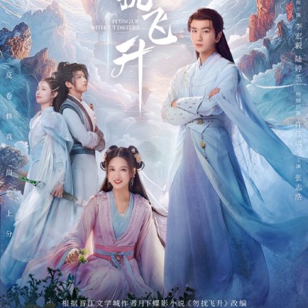 Flying up without Disturb (2025)