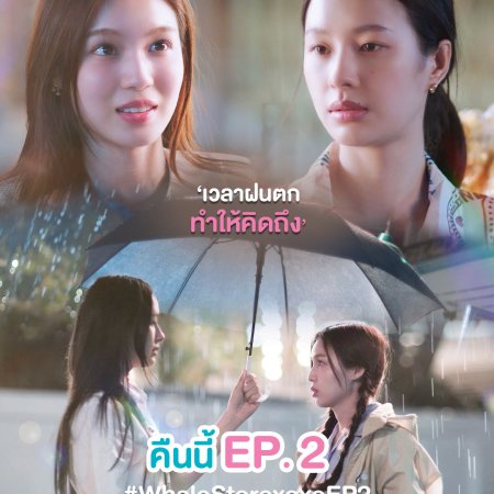 Whale Store xoxo (2025)