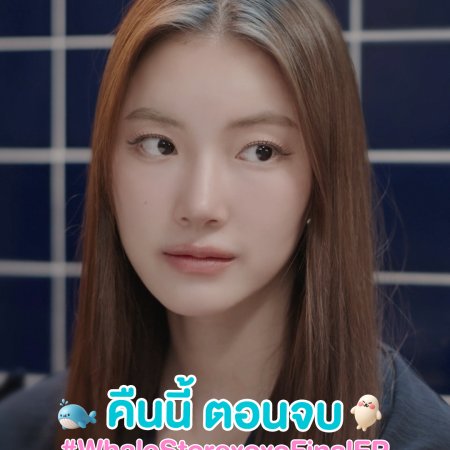 Whale Store xoxo (2025)