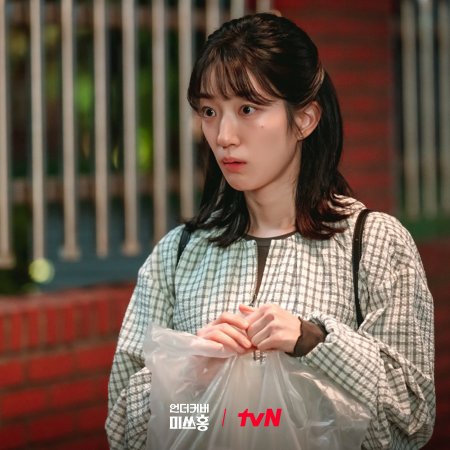 Undercover Miss Hong (2026)