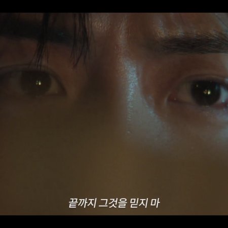 Portraits of Delusion (2026)