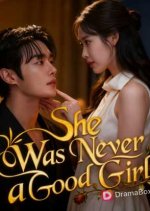 She Was Never a Good Girl Korean Drama(2025) photo