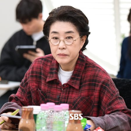 Phantom Lawyer (2026)