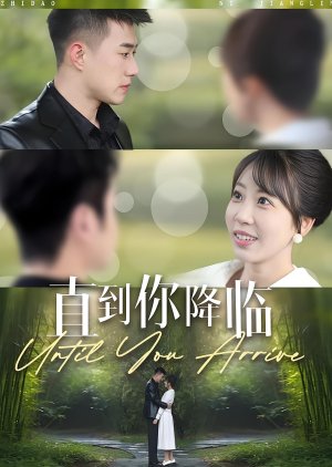 Until You Arrive (2025) poster