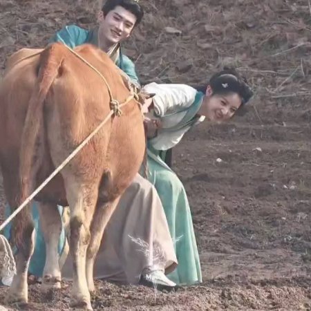 Where the Mask Ends ()