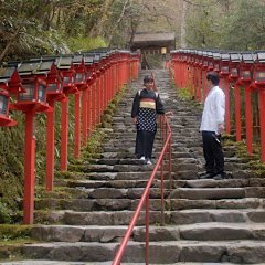 River Japanese Movie(2023) photo