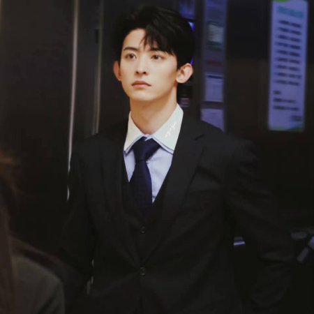 The Vanishing Beauty ()