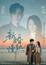 Loving Strangers Chinese Drama(2025) photo