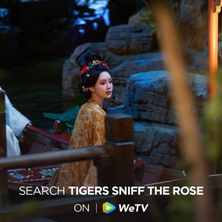 Tigers Sniff the Rose (2026)