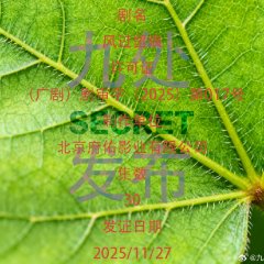 The Truth Chinese Drama(0000) photo