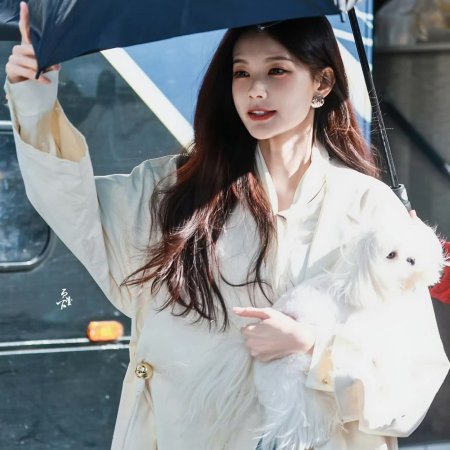 The Vanishing Beauty ()